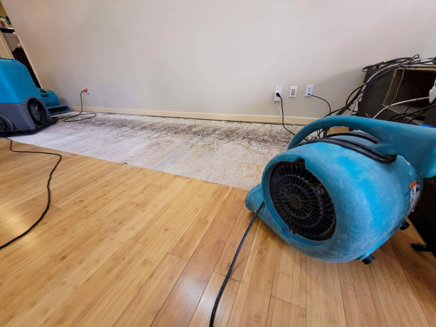 Professional Flood Damage Cleanup technician working in Lyons, WI